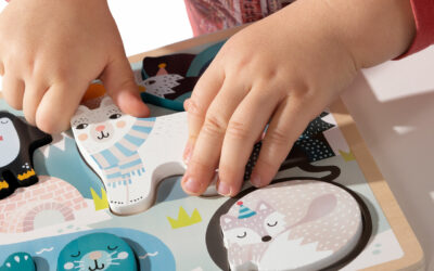 Les bienfaits des puzzles et encastrements