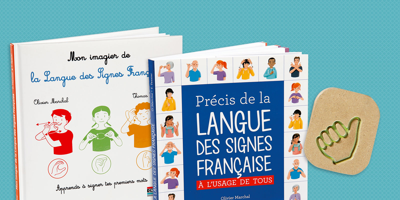 livre précis de la langue des signes française et mon imagier de la langue des signes blog Wesco