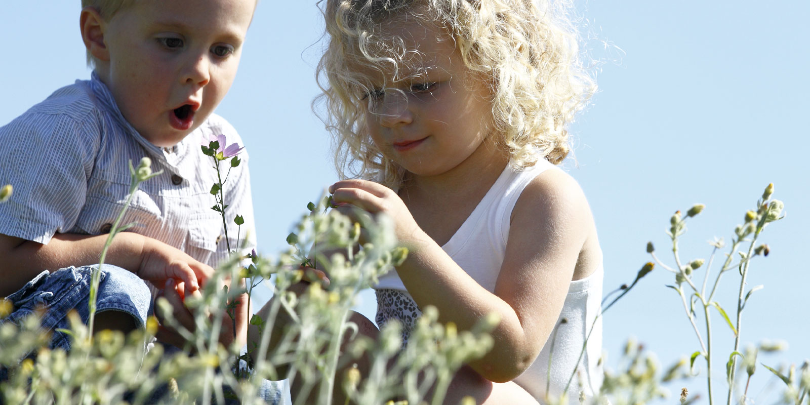 enfants en extérieur qui observent les fleurs blog wesco