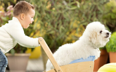 Animal de compagnie : les bienfaits pour un enfant