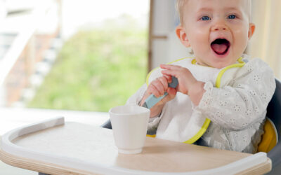 Comment choisir et bien utiliser une chaise haute pour bébé ?