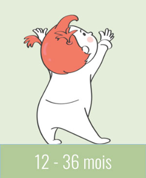 12-36mois